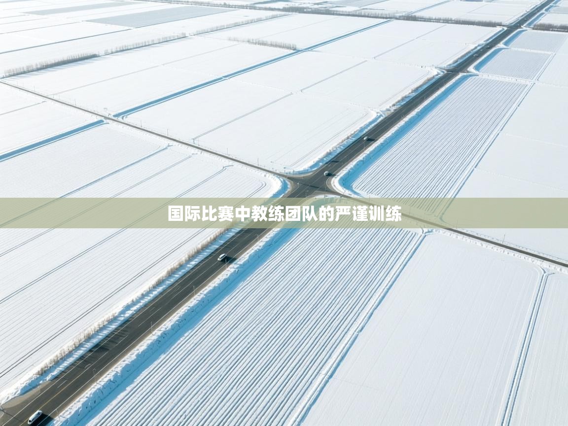 国际比赛中教练团队的严谨训练  第2张