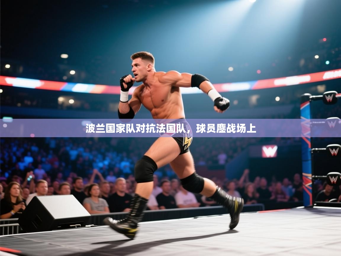 波兰国家队对抗法国队，球员鏖战场上  第2张