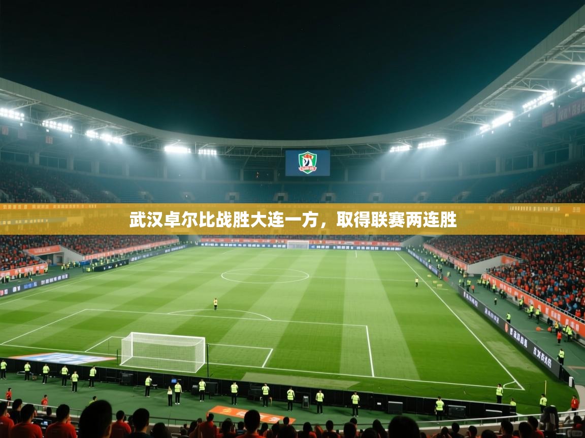 武汉卓尔比战胜大连一方,取得联赛两连胜 第1张