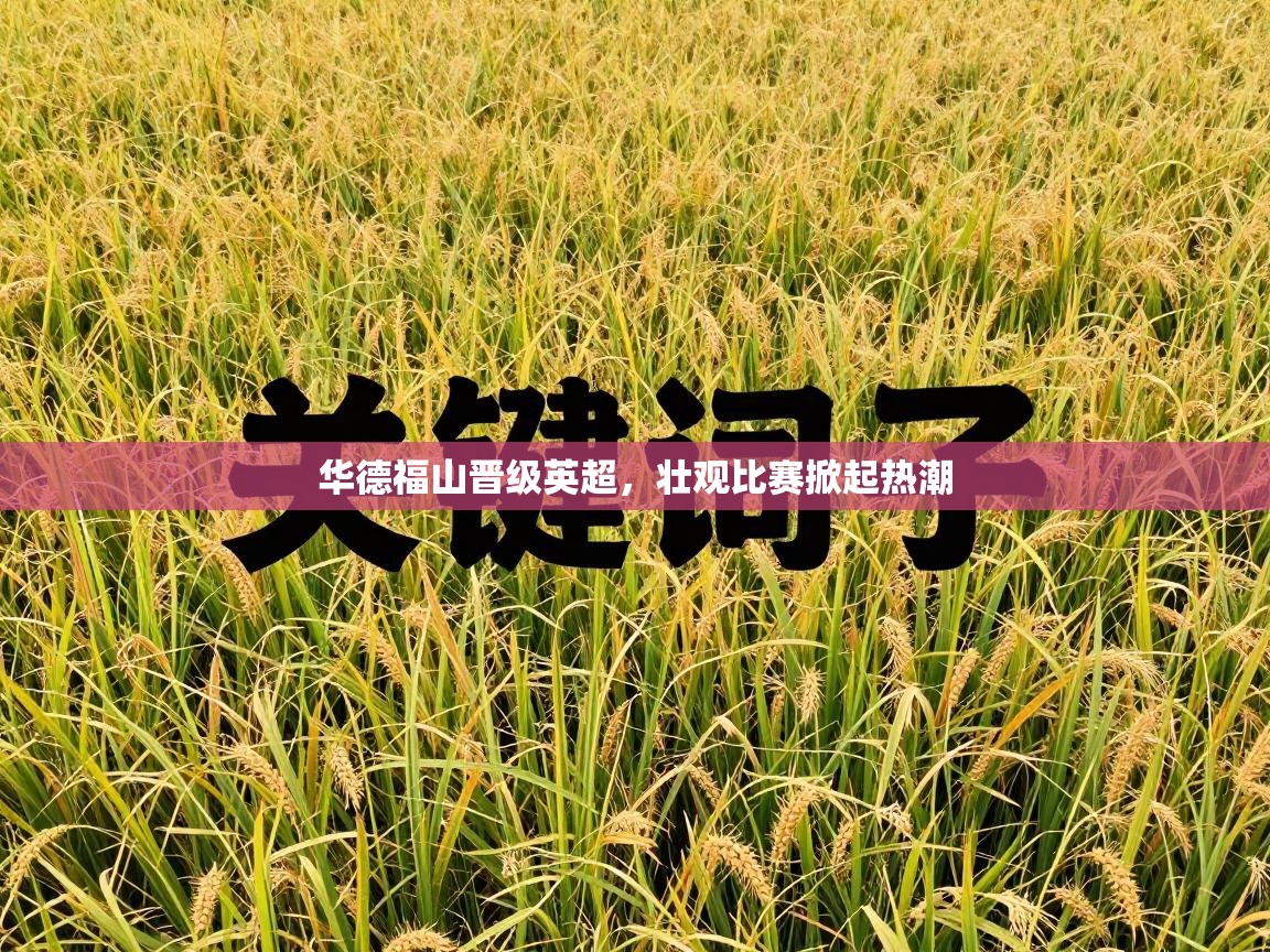 华德福山晋级英超，壮观比赛掀起热潮  第2张